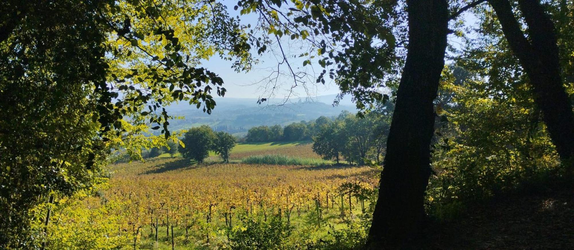 Holiday home Cielo - Antica Casa Sulla Via Francigena *